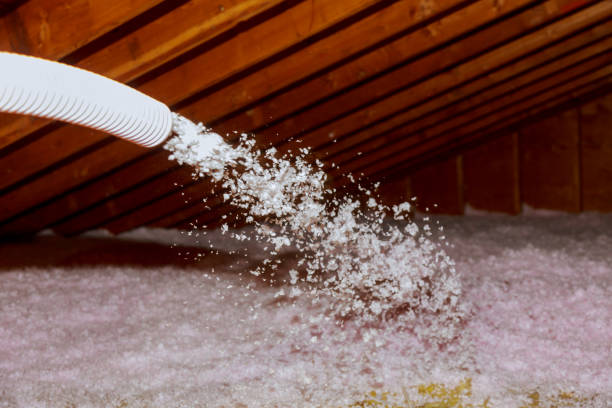 Best Insulation Maintenance and Repair in Plattsburgh, NY